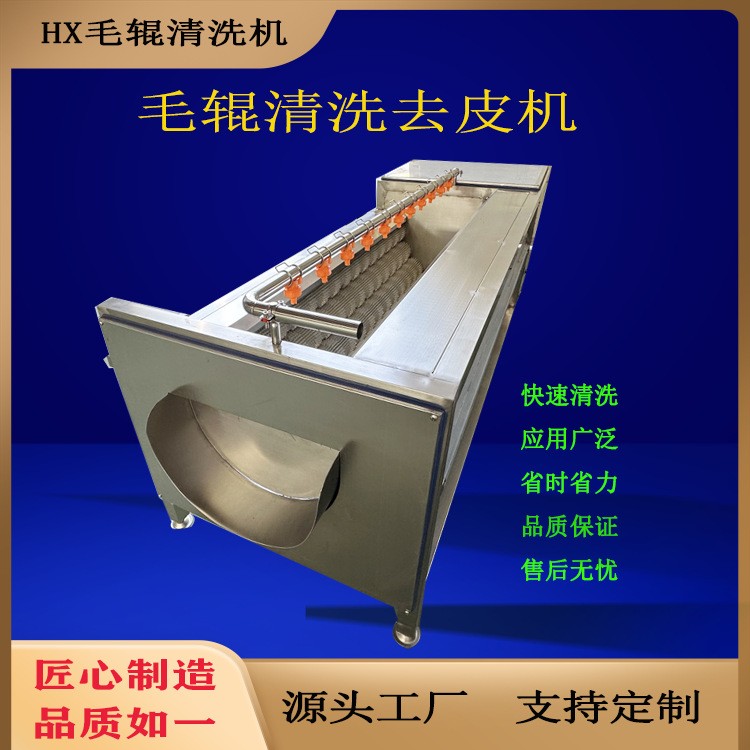 全自动毛辊清洗机果蔬小型莲藕磨皮机商用多功能山药芋头去皮