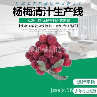 厂家直销优质的杨梅原汁清汁浓缩汁浊汁果酱饮料生产线