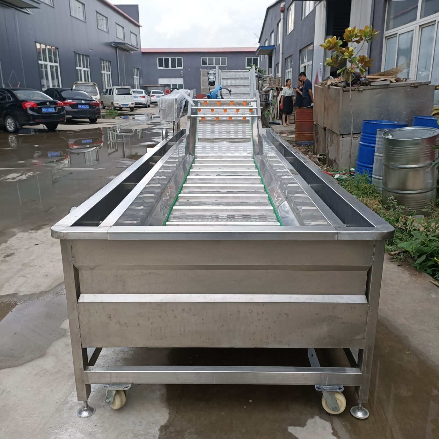 全自动果蔬清洗机 黄桃水蜜桃清洗风干机 蓝莓大枣清洗风干流水线图4