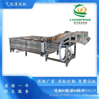 全自动商用洗菜机 玉米气泡清洗机 不锈钢辣椒鼓浪式气泡清洗机