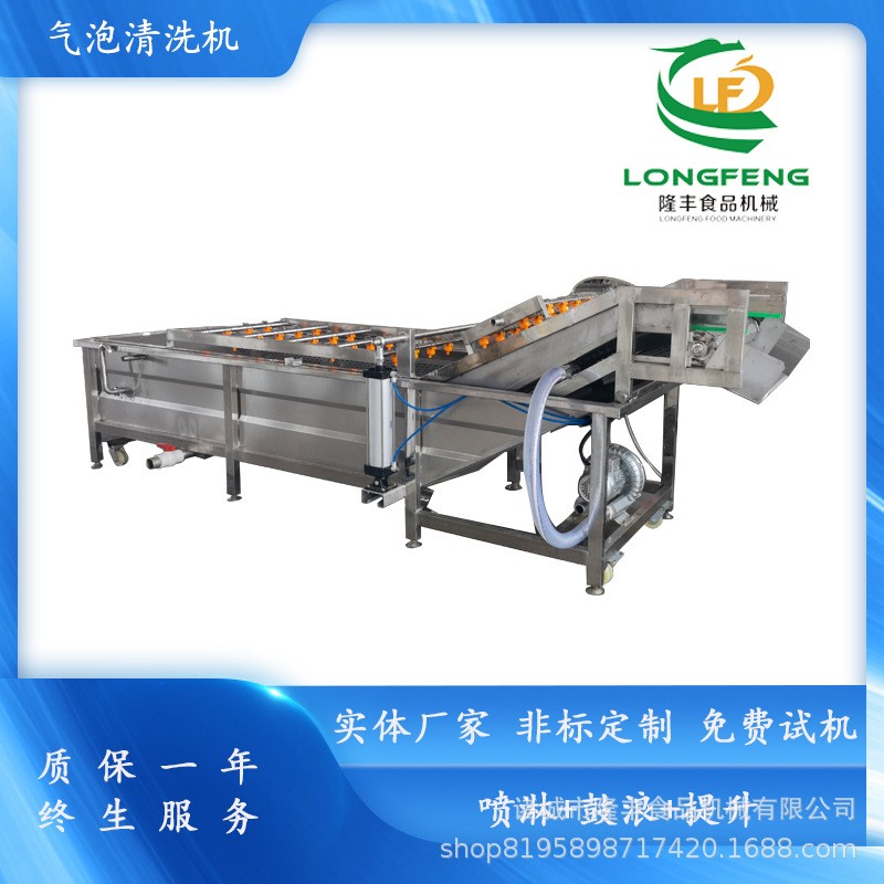全自动商用洗菜机 玉米气泡清洗机 不锈钢辣椒鼓浪式气泡清洗机图3