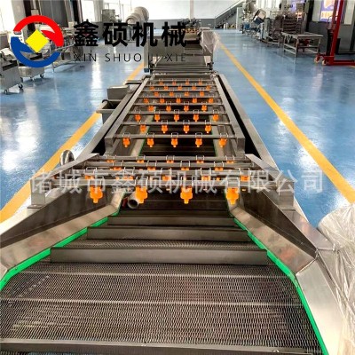 菌菇类加工清洗生产流水线 香菇片木耳丝清洗流水线 气泡式清洗机