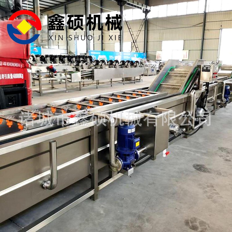 菌菇类加工清洗生产流水线 香菇片木耳丝清洗流水线 气泡式清洗机图2
