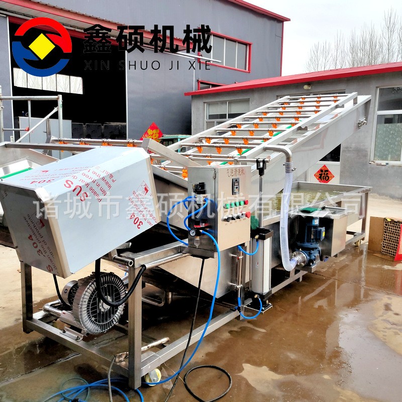 厂家供应气泡清洗机 不锈钢材质果蔬清洗线 彩椒金针菇清洗机设备