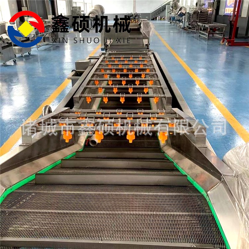 厂家供应气泡清洗机 不锈钢材质果蔬清洗线 彩椒金针菇清洗机设备图3