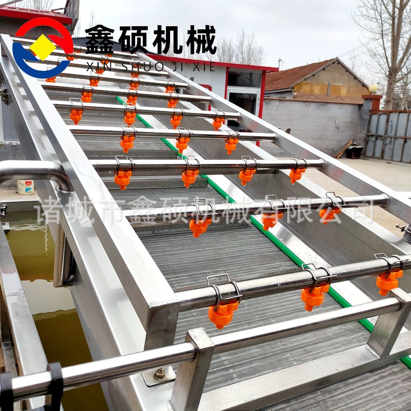 厂家供应气泡清洗机 不锈钢材质果蔬清洗线 彩椒金针菇清洗机设备图4