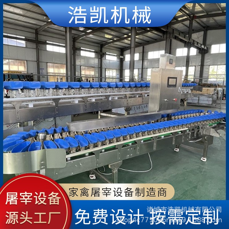 苹果分选机百香果重量分级机橙子猕猴桃电脑不锈钢选果机图2