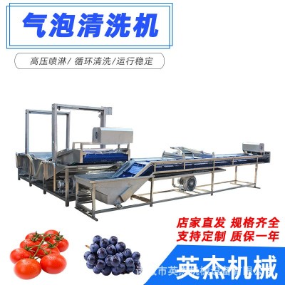 鲜食玉米加工设备冷冻肉类解冻清洗全自动海藻类去盐机果蔬清洗机