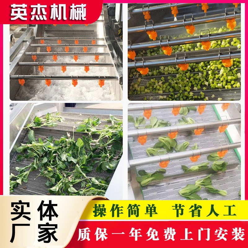 鲜食玉米加工设备冷冻肉类解冻清洗全自动海藻类去盐机果蔬清洗机图4