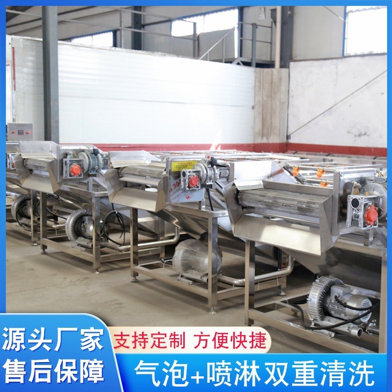 大型果蔬气泡清洗机设备 洗毛肚食材气泡翻滚洗菜机 厂家供应图2