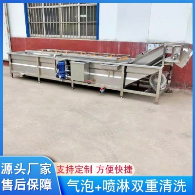 鱿鱼仔气泡清洗机 洗苹果洗橙子洗海参洗土豆块 水果气泡清洗机