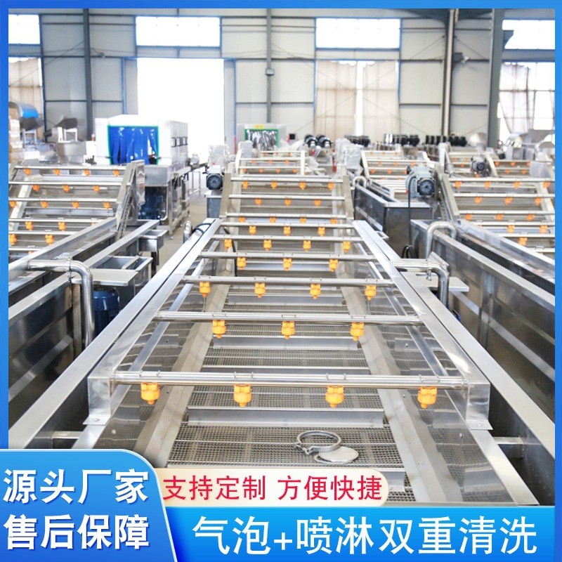 鱿鱼仔气泡清洗机 洗苹果洗橙子洗海参洗土豆块 水果气泡清洗机图4