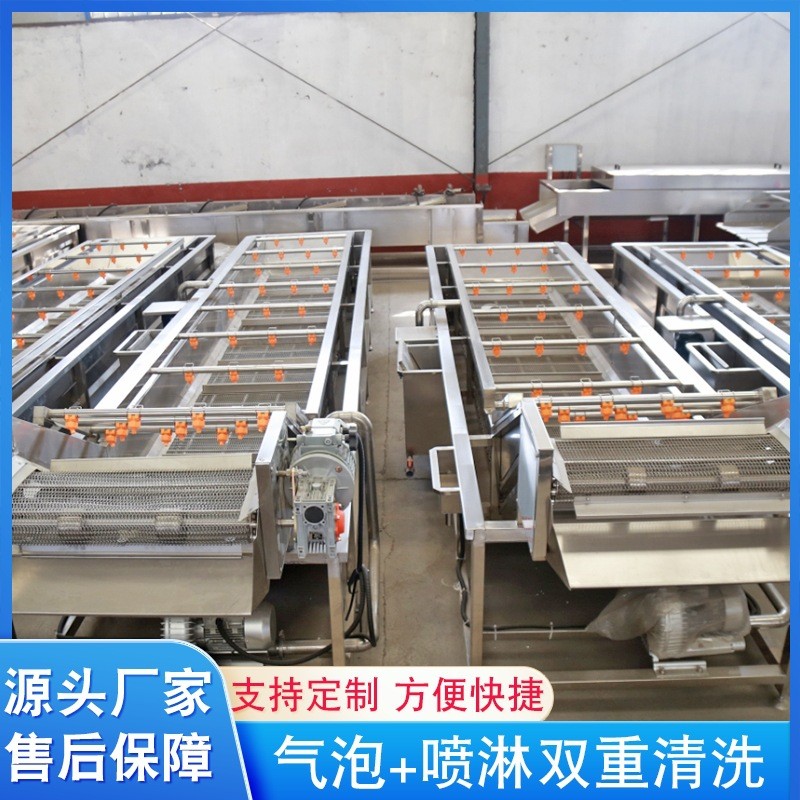 鱿鱼仔气泡清洗机 洗苹果洗橙子洗海参洗土豆块 水果气泡清洗机图3