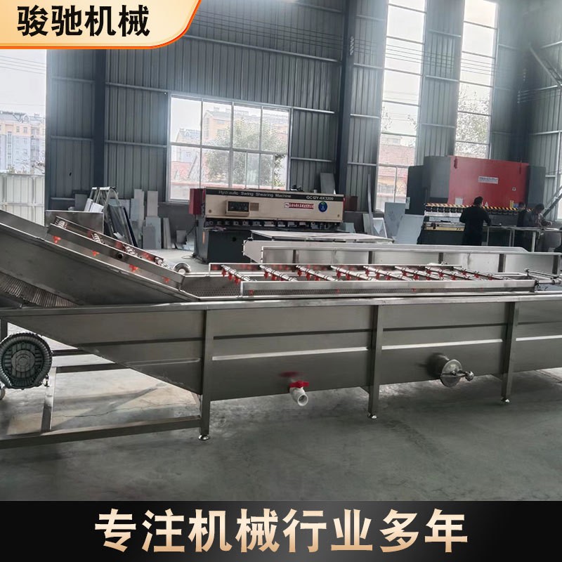 厂家直供果蔬气泡清洗机水果蔬菜清洗设备预制菜净菜 洗菜机器图2