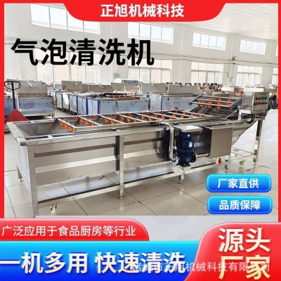 商用大型雪菜洗菜机蘑菇白菜高压喷淋气泡清洗 蔬菜清洗风干清洗
