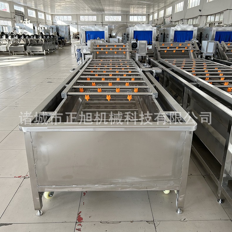 商用大型雪菜洗菜机蘑菇白菜高压喷淋气泡清洗 蔬菜清洗风干清洗图4