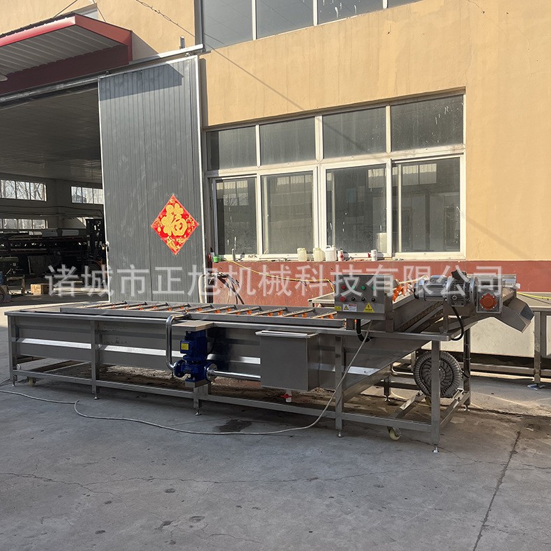 商用大型雪菜洗菜机蘑菇白菜高压喷淋气泡清洗 蔬菜清洗风干清洗图2