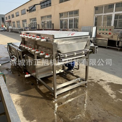 大姜高压喷淋清洗机 地瓜红薯洗泥沙清洗设备 莲藕洗泥机
