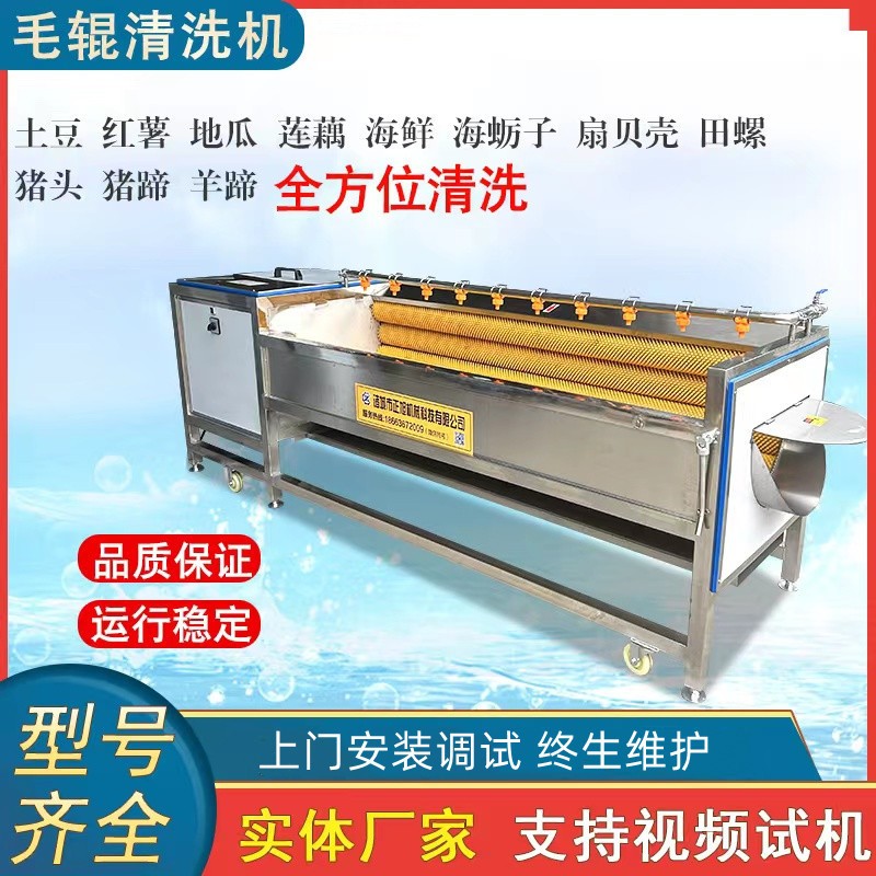 现货土豆去皮机脱皮机 9根木薯洋葱去皮机 毛刷毛辊清洗机图3