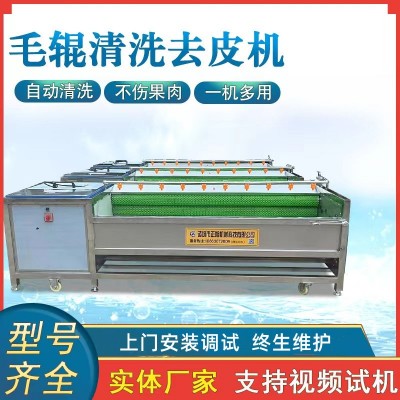 现货土豆去皮机脱皮机 9根木薯洋葱去皮机 毛刷毛辊清洗机