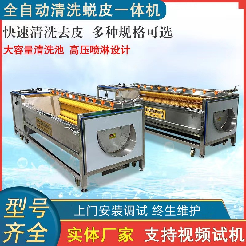 现货土豆去皮机脱皮机 9根木薯洋葱去皮机 毛刷毛辊清洗机图2