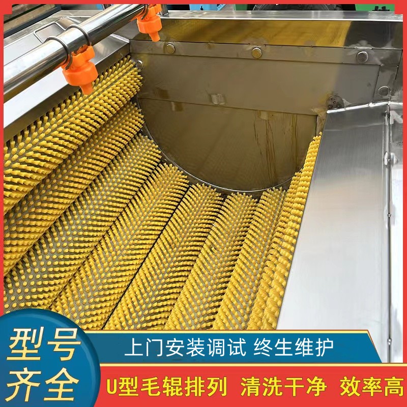 现货土豆去皮机脱皮机 9根木薯洋葱去皮机 毛刷毛辊清洗机图4