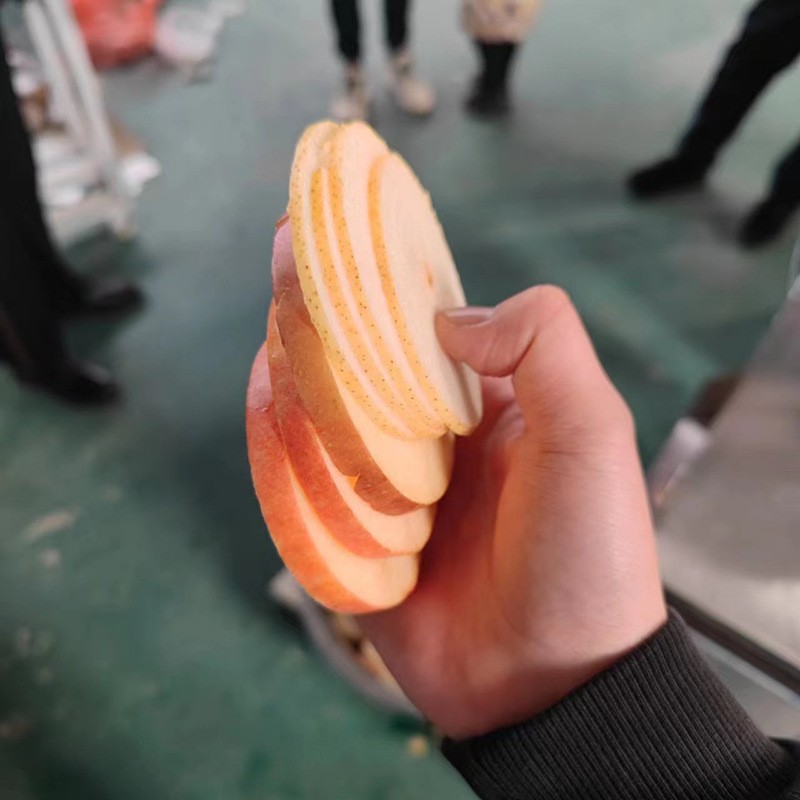 厂家供应商用全自动水果切块机食堂不锈钢蔬菜切丝机药材定向切片图2