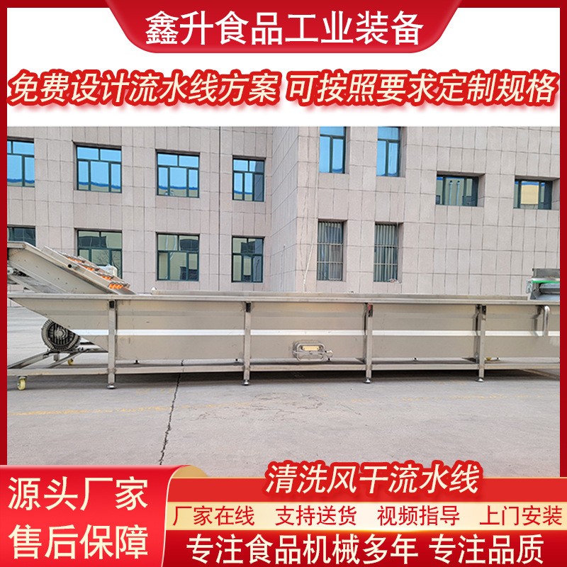 蓝莓清洗机 全自动果蔬清洗风干流水线 不锈钢毛豆清洗风干设备图3