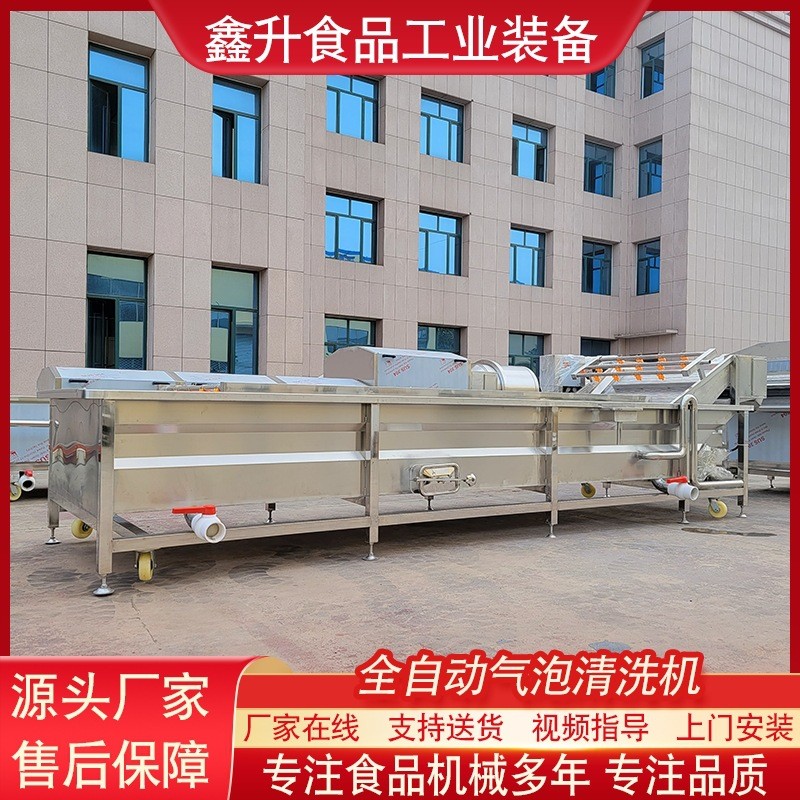 全自动玉米果蔬清洗机 草莓喷淋式气泡清洗机 预制菜清洗加工设备图4