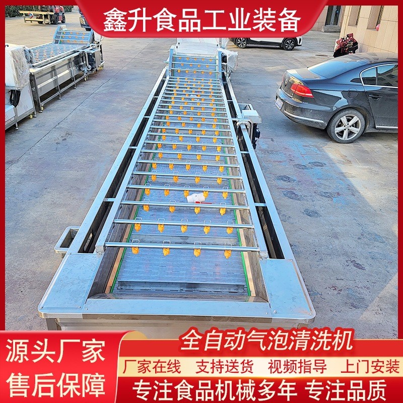 全自动玉米果蔬清洗机 草莓喷淋式气泡清洗机 预制菜清洗加工设备图3