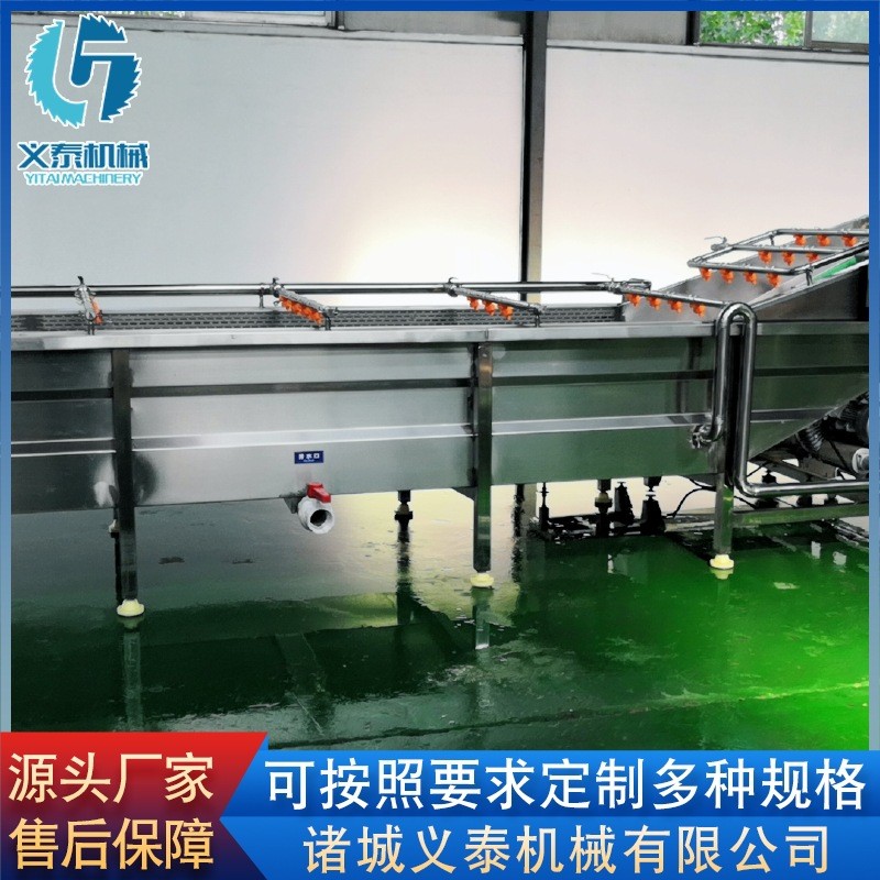 芹菜气泡清洗机 全自动桑葚果清洗机设备 黄瓜果蔬清洗机价格图2