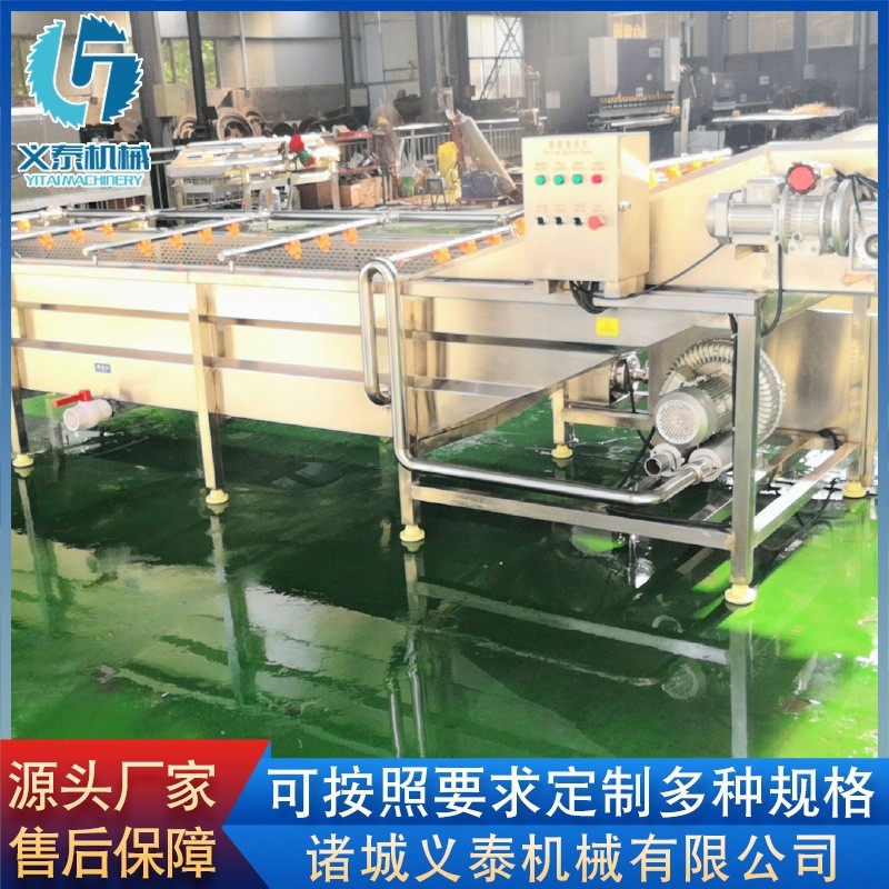 芹菜气泡清洗机 全自动桑葚果清洗机设备 黄瓜果蔬清洗机价格图3