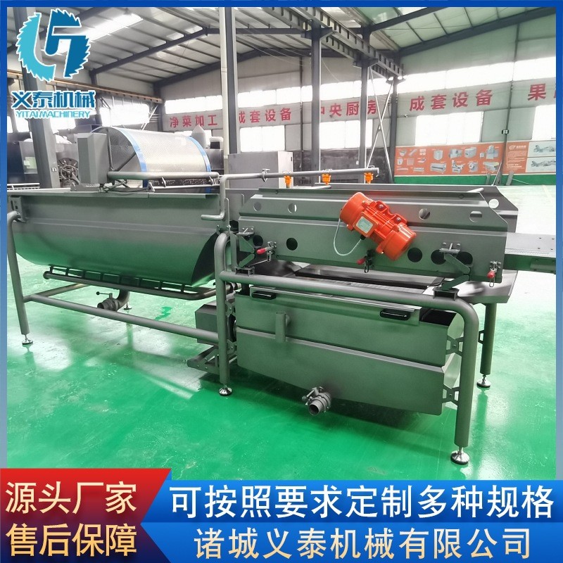 芹菜段涡流清洗机 全自动果蔬清洗机设备 供应薄荷叶涡流清洗机图4