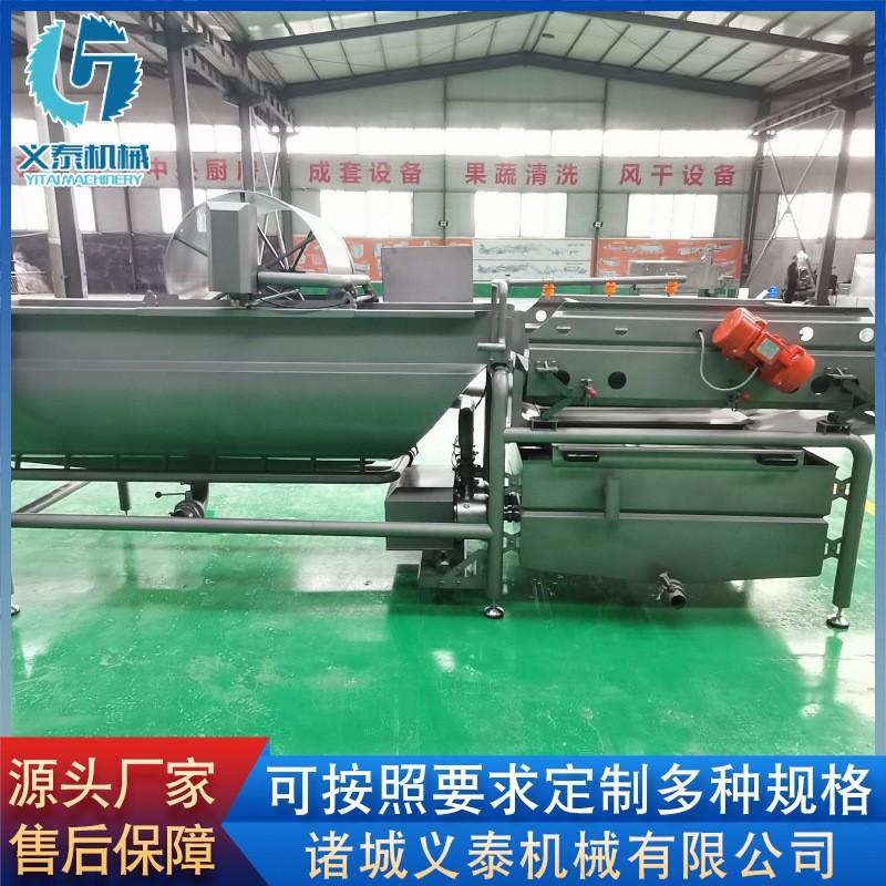 供应涡流式红薯清洗机设备 全自动茼蒿清洗机 大蒜清洗流水线图4
