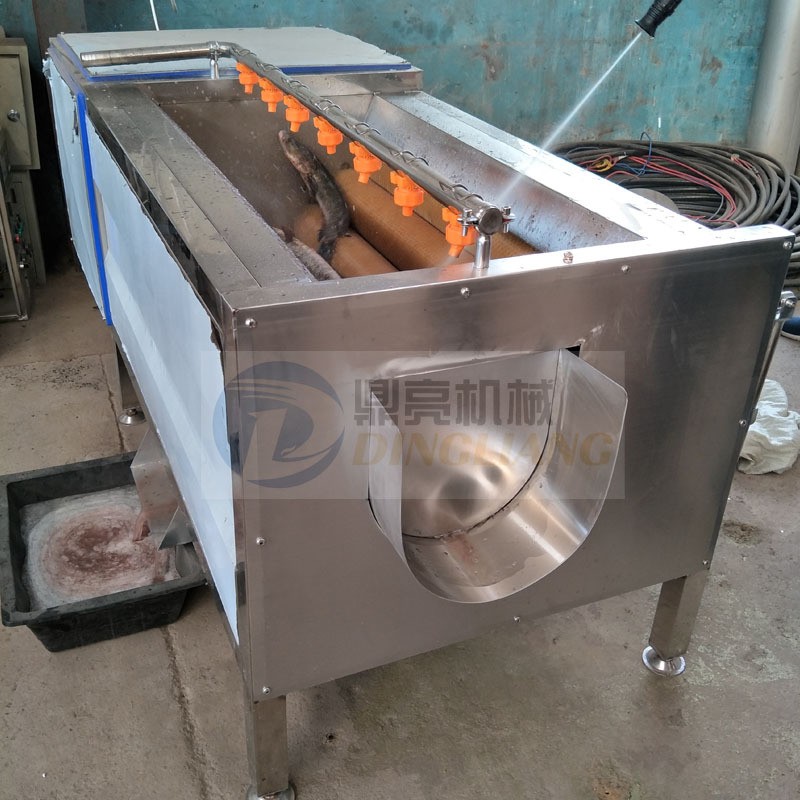 莲藕萝卜清洗机 去鱼鳞机 黑鱼去鳞机 土豆清洗去皮机图2