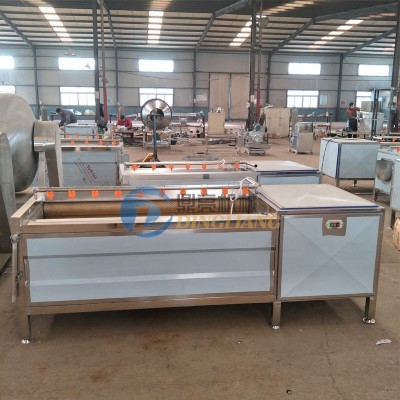 厂家供应根茎类蔬菜清洗去皮机 全自动萝卜清洗机蔬菜加 工厂设备