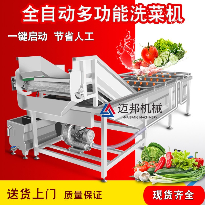 商用芥菜气泡清洗机酱腌菜酸菜海带脱盐清洗设备咸菜脱盐设备图2