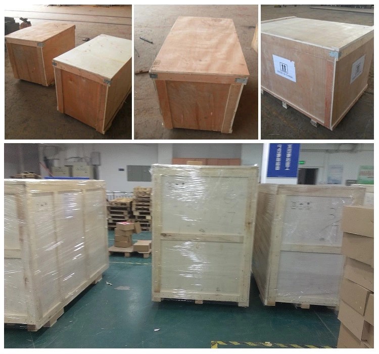 麻辣花生真空包装机 泡椒竹笋卤鸡翅真空抽气封口机图5