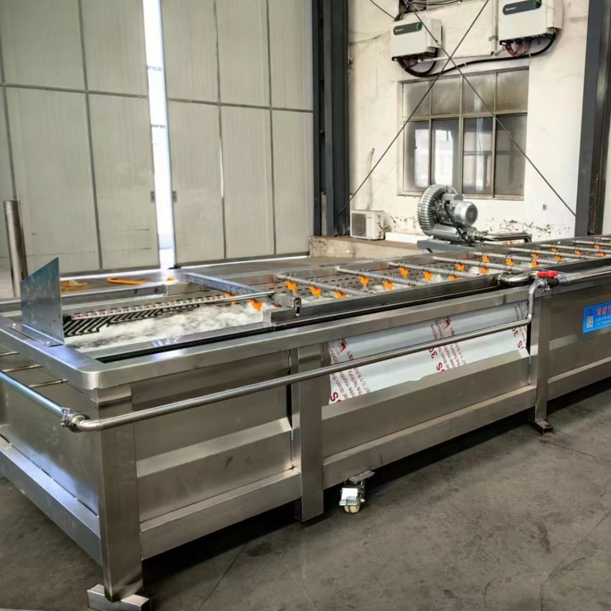 芋头地瓜清洗机 根茎类蔬菜毛辊清洗设备 胡萝卜毛辊清洗机图4