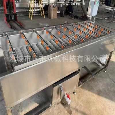 芋头地瓜清洗机 根茎类蔬菜毛辊清洗设备 胡萝卜毛辊清洗机