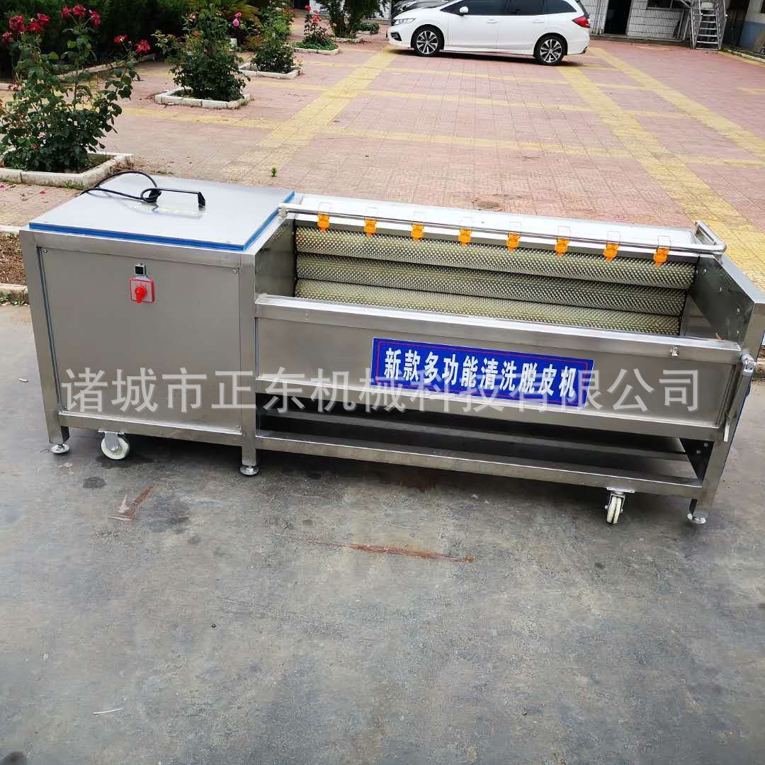贝壳类海鲜毛辊清洗机 花生土豆芋头根茎类毛辊清洗机 海蛎子清洗图2