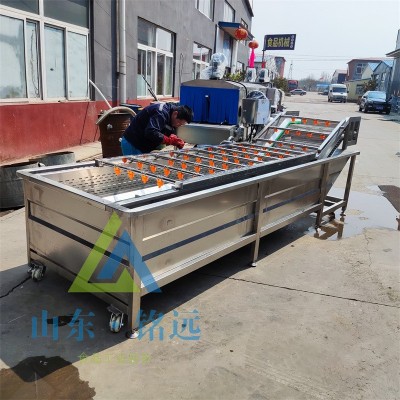 小米辣气泡清洗机多功能喷淋洗菜流水线果蔬气泡清洗机药材清洗机