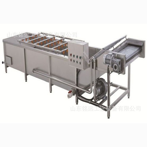 小米辣气泡清洗机多功能喷淋洗菜流水线果蔬气泡清洗机药材清洗机图5