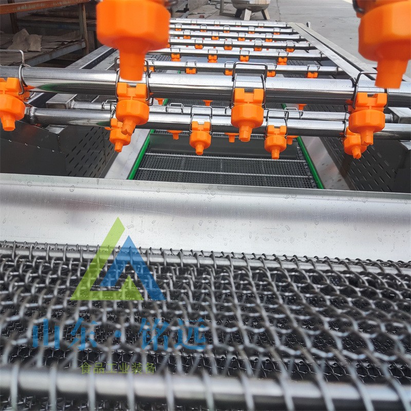 小米辣气泡清洗机多功能喷淋洗菜流水线果蔬气泡清洗机药材清洗机图2