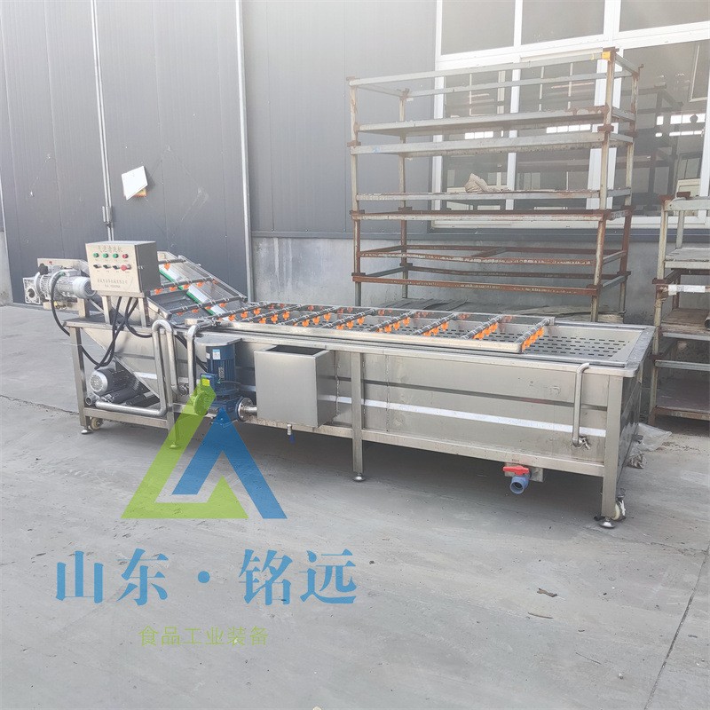 小米辣气泡清洗机多功能喷淋洗菜流水线果蔬气泡清洗机药材清洗机图3