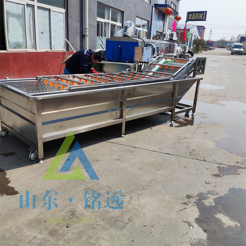 小米辣气泡清洗机多功能喷淋洗菜流水线果蔬气泡清洗机药材清洗机图4