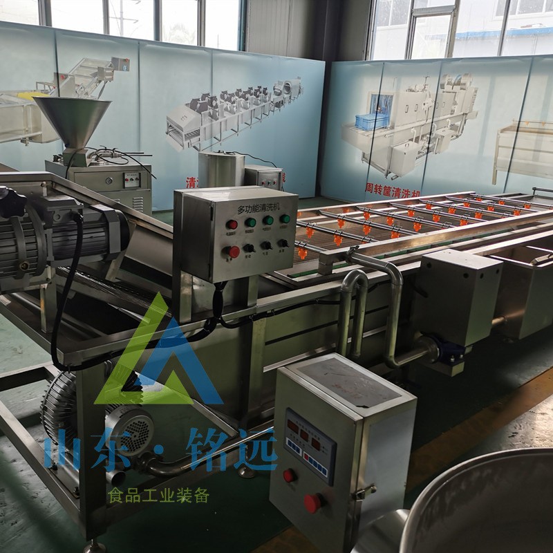 全自动梅干菜气泡清洗机速冻玉米气泡清洗机鲜花生去泥气泡清洗机图2