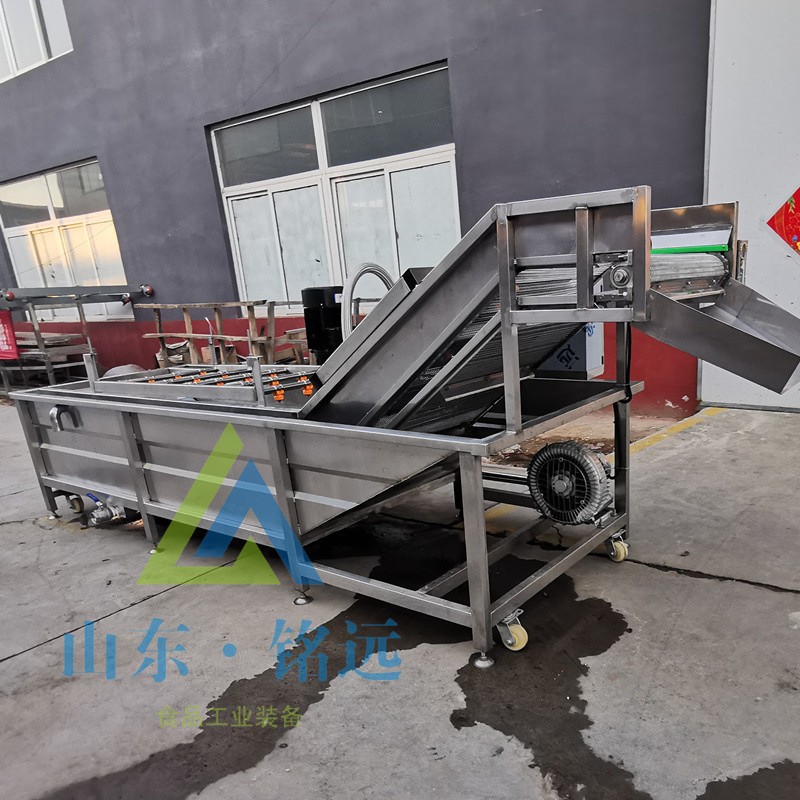 全自动梅干菜气泡清洗机速冻玉米气泡清洗机鲜花生去泥气泡清洗机图3