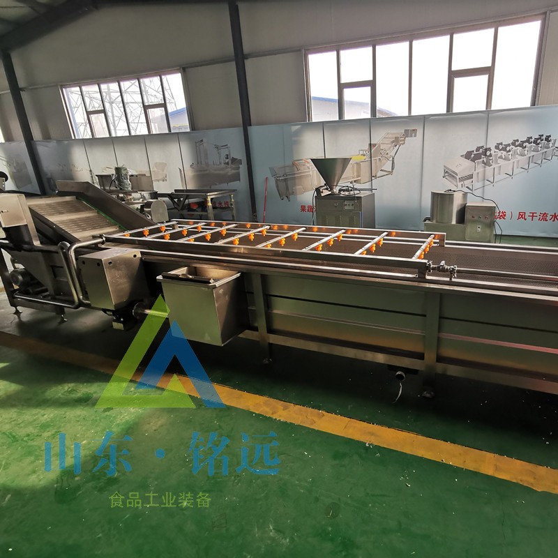 全自动梅干菜气泡清洗机速冻玉米气泡清洗机鲜花生去泥气泡清洗机