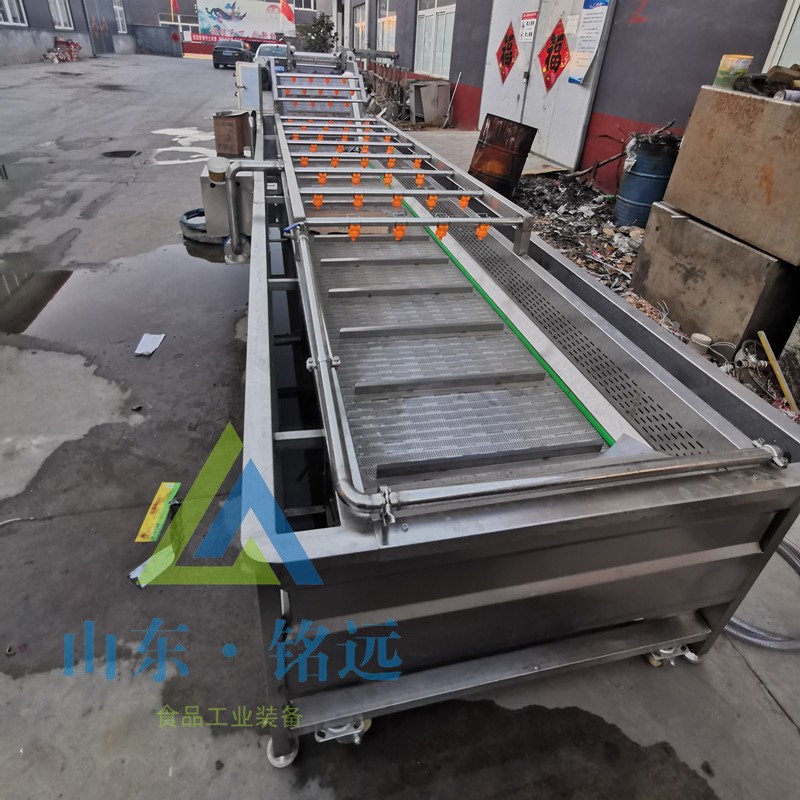 全自动梅干菜气泡清洗机速冻玉米气泡清洗机鲜花生去泥气泡清洗机图4